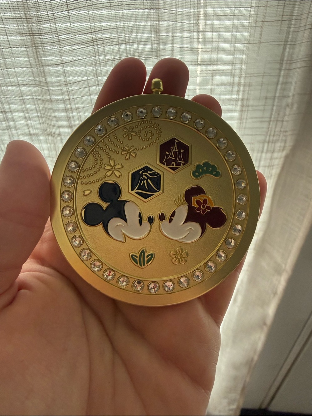 Tokyo Disney Mirror